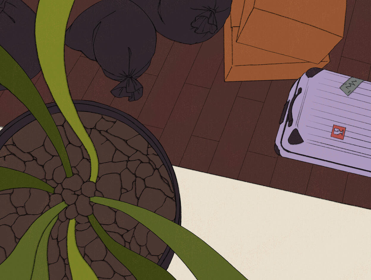 WILTING LAYOUT1